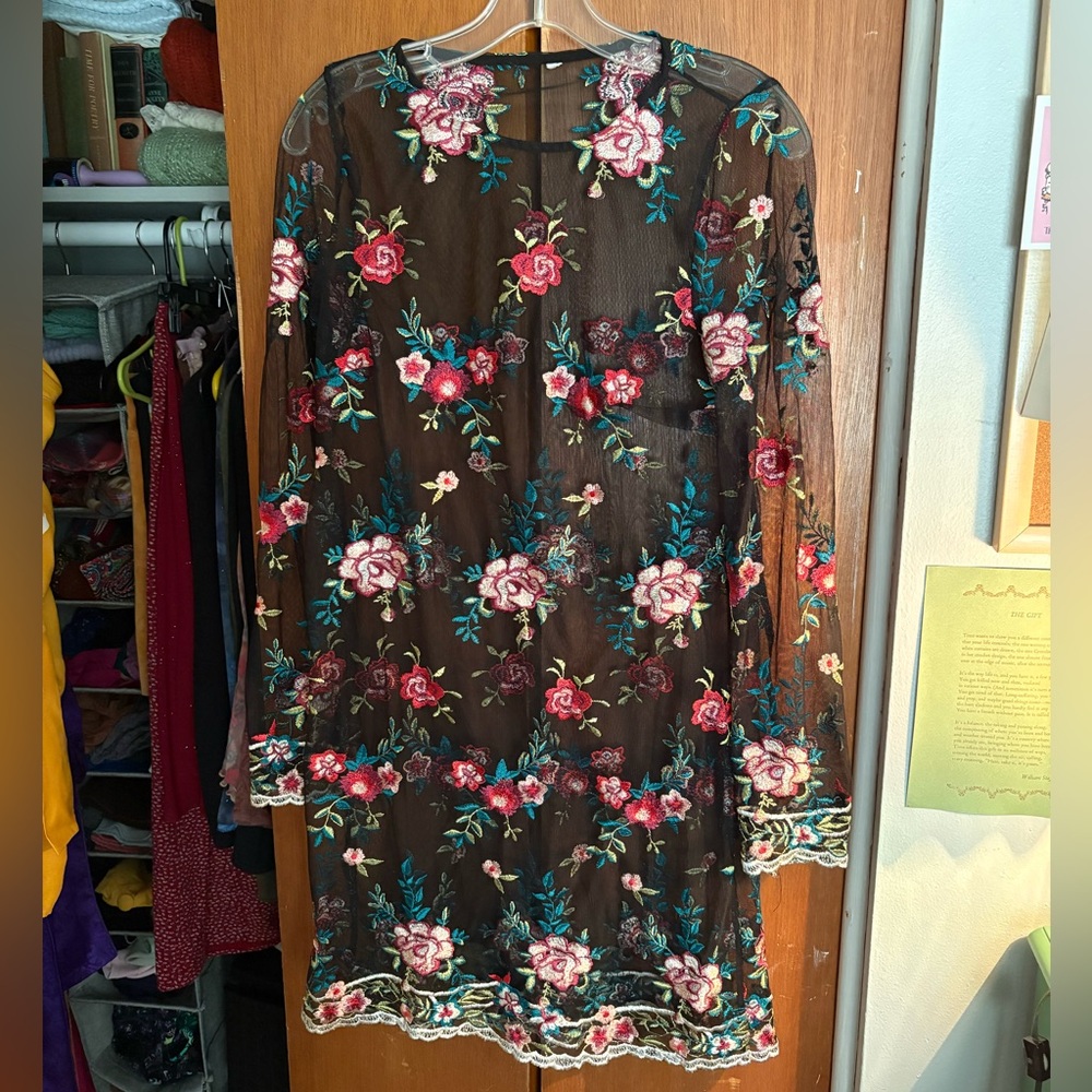 Vintage Sheer Black Floral Embroidered Whimsigoth Dress